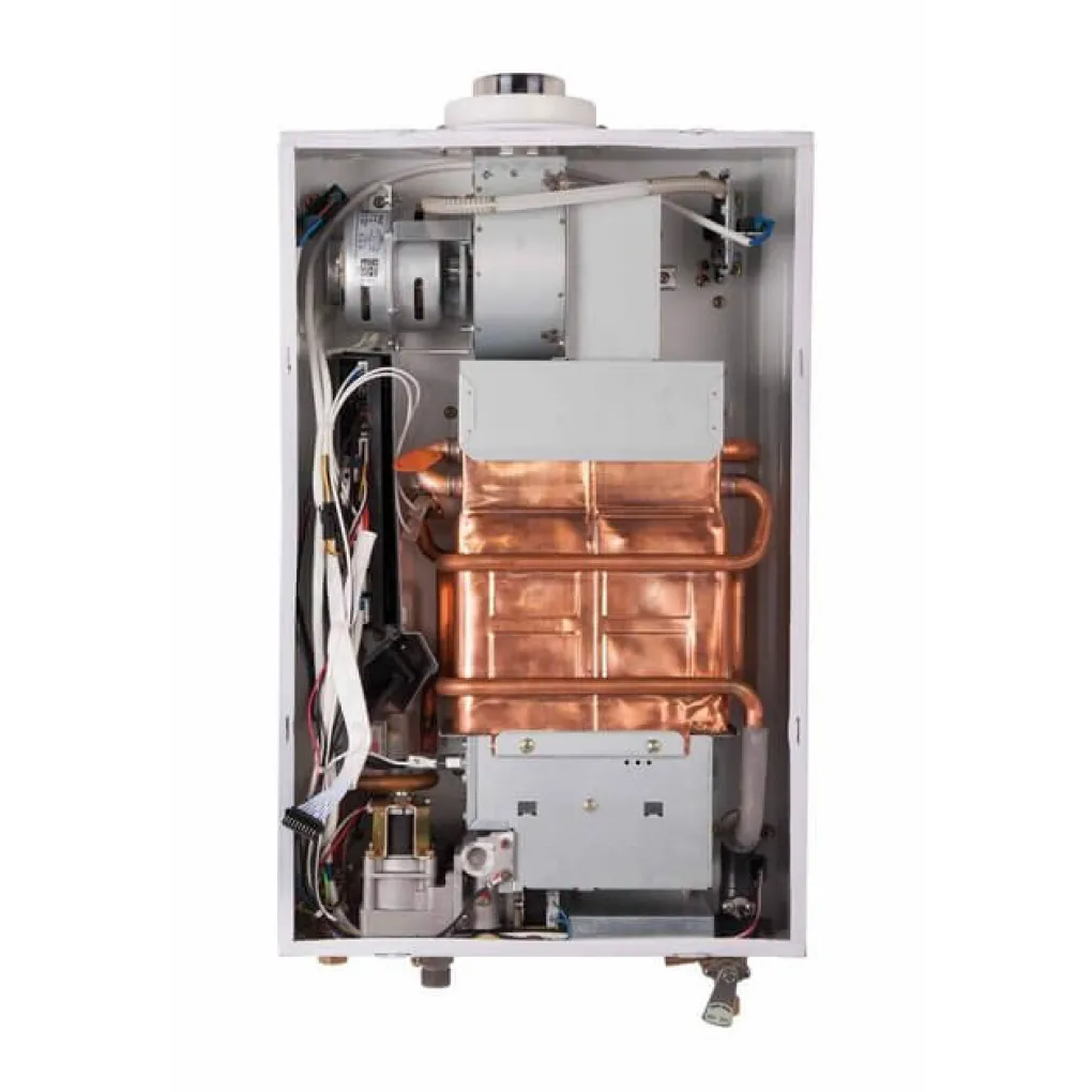 Газова колонка Thermo Alliance JSG20-10ETP18 10 л Silver- Фото 4